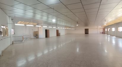 Building in Albatera (03340) of 1,462 m²