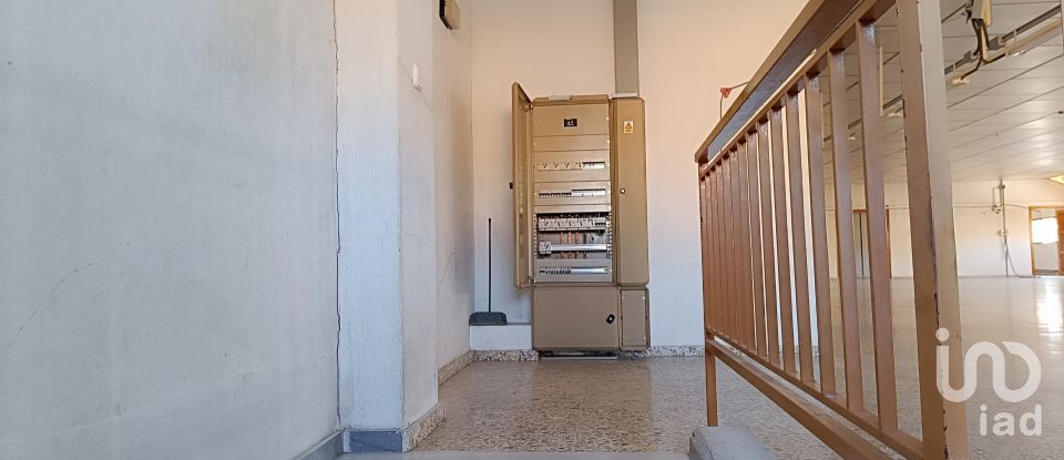 Immeuble de 1 462 m² à Albatera (03340)