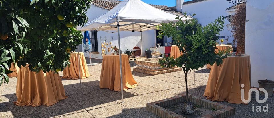 House 8 bedrooms of 606 m² in Villalba del Alcor (21860)