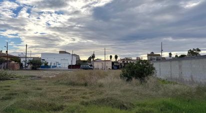 Building plot of 689 m² in Deltebre (43580)