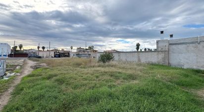 Building plot of 689 m² in Deltebre (43580)