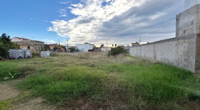 Building plot of 689 m² in Deltebre (43580)