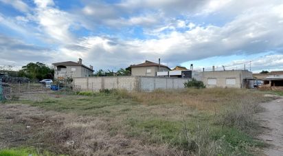 Building plot of 689 m² in Deltebre (43580)