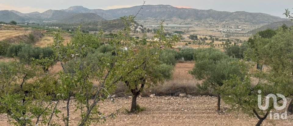 Terreny de 10.000 m² a La Romana (03669)