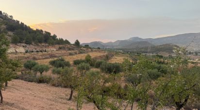 Land of 10,000 m² in La Romana (03669)