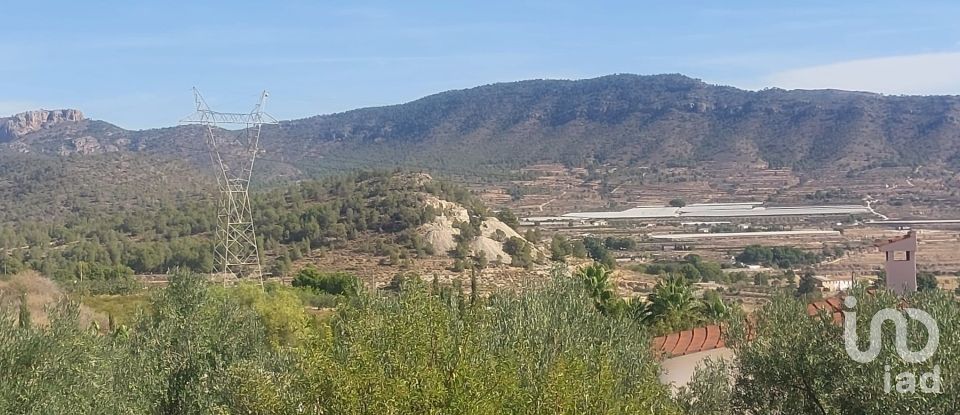 Terreny de 10.000 m² a La Romana (03669)