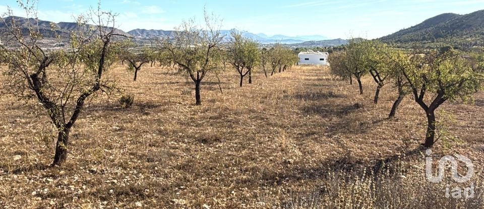 Terreny de 10.000 m² a La Romana (03669)