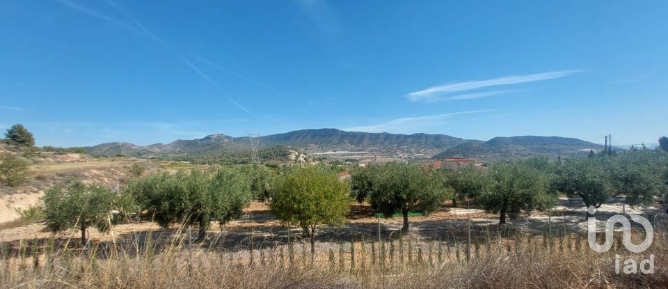 Terreny de 10.000 m² a La Romana (03669)