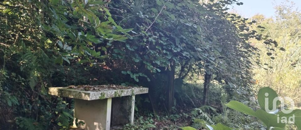 Casa rural 5 habitaciones de 230 m² en Los Tojos (39518)