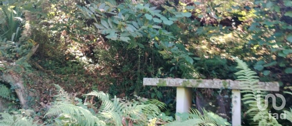 Casa rural 5 habitaciones de 230 m² en Los Tojos (39518)