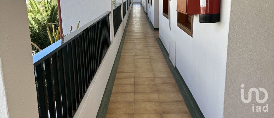 Pis 1 habitació de 55 m² a Barranco del Quiquere (35510)