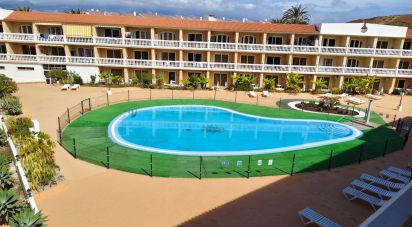 Apartment 0 bedrooms of 44 m² in Costa del Silencio (38630)
