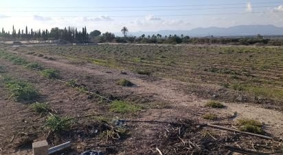 Land of 28,329 m² in Partida El Pinet (03194)