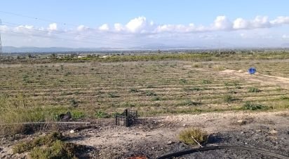 Land of 28,329 m² in Partida El Pinet (03194)