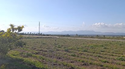 Land of 28,329 m² in Partida El Pinet (03194)