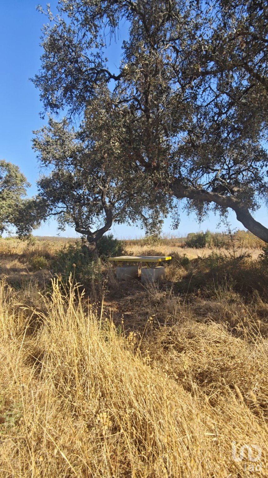 Terreny de 9.332 m² a Villablanca (21590)