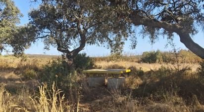 Land of 9,332 m² in Villablanca (21590)