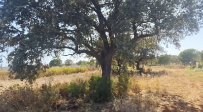 Land of 9,332 m² in Villablanca (21590)