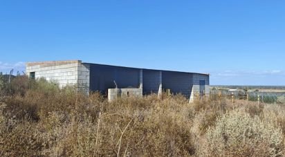 Land of 9,332 m² in Villablanca (21590)