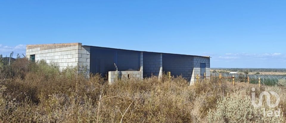 Terreny de 9.332 m² a Villablanca (21590)