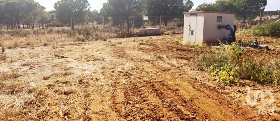 Terreny de 9.332 m² a Villablanca (21590)