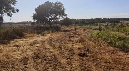 Land of 9,332 m² in Villablanca (21590)