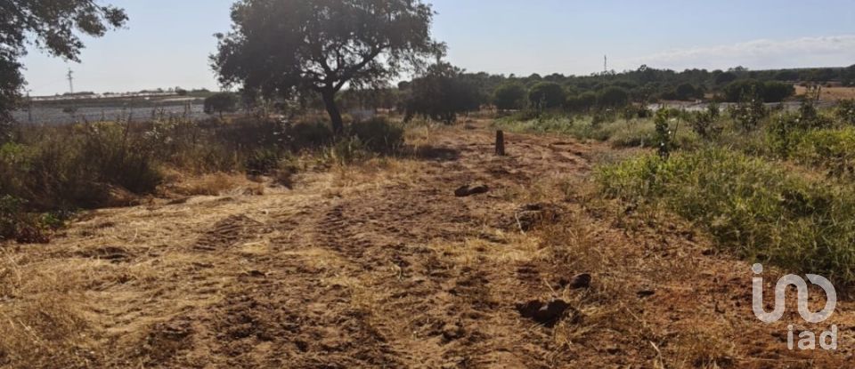 Terreny de 9.332 m² a Villablanca (21590)