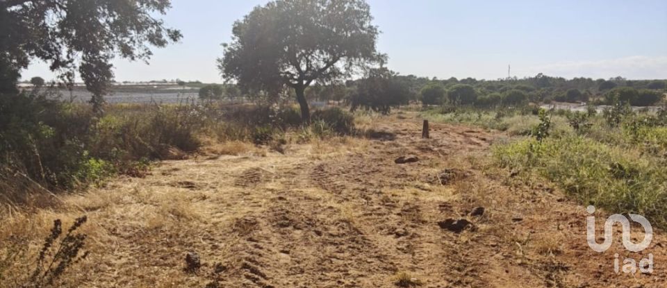 Terreny de 9.332 m² a Villablanca (21590)