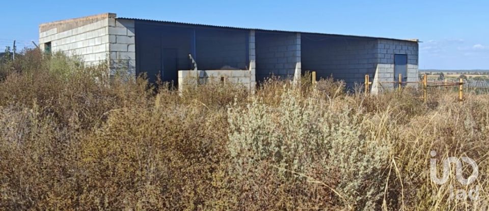 Terreny de 9.332 m² a Villablanca (21590)