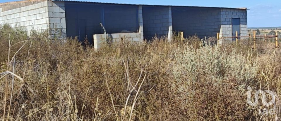 Terreny de 9.332 m² a Villablanca (21590)