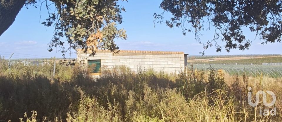 Terreny de 9.332 m² a Villablanca (21590)