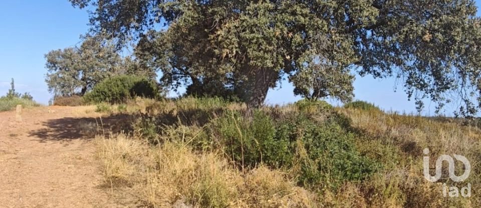 Terreny de 9.332 m² a Villablanca (21590)