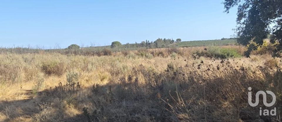 Terreny de 9.332 m² a Villablanca (21590)