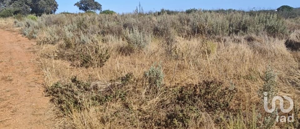 Terreny de 9.332 m² a Villablanca (21590)