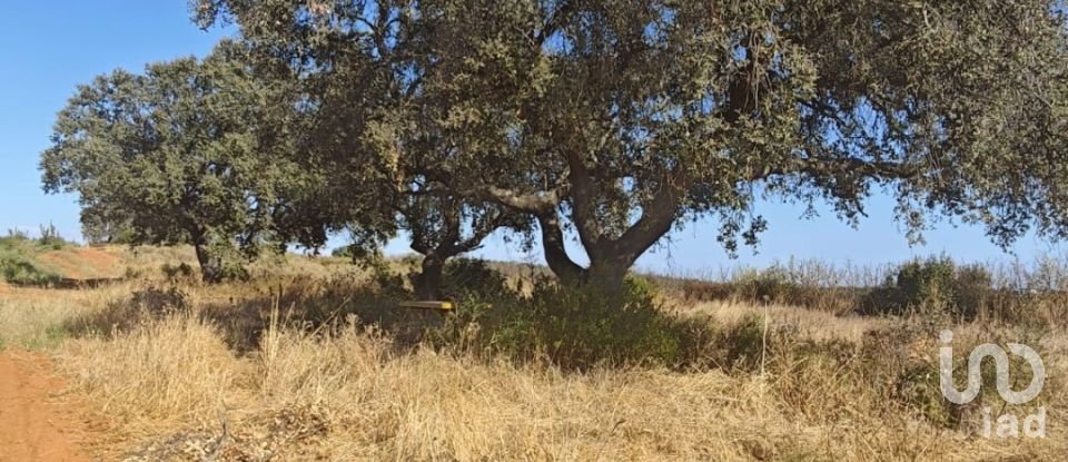 Terreny de 9.332 m² a Villablanca (21590)