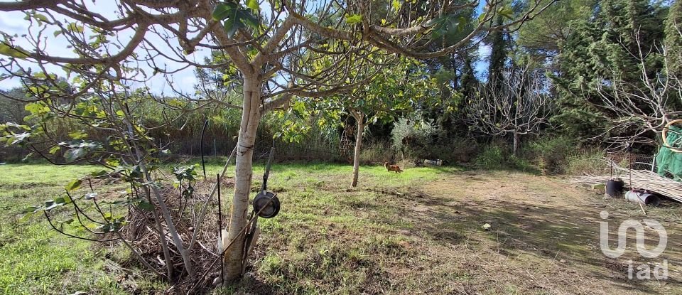 Terreny agrícola de 2.608 m² a Ginestar (43748)