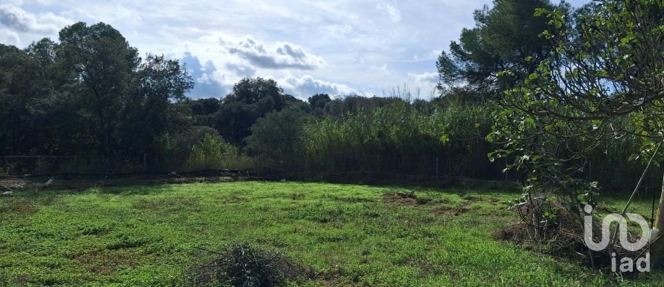 Terreny agrícola de 2.608 m² a Ginestar (43748)