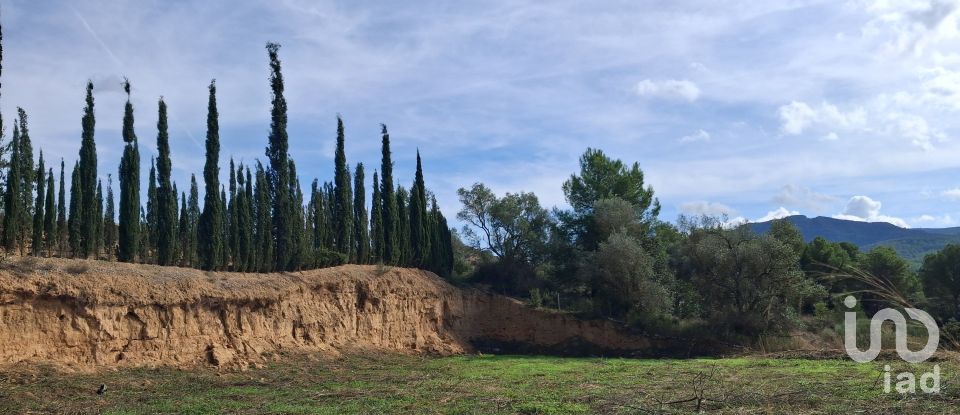 Terreny agrícola de 2.608 m² a Ginestar (43748)