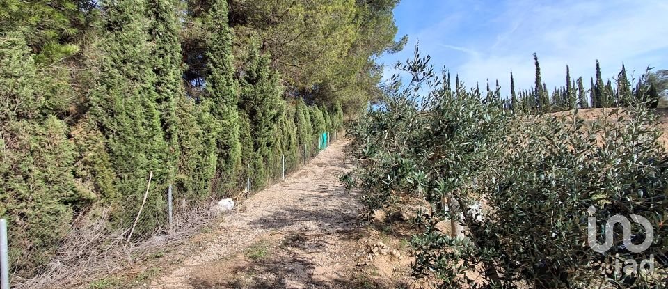 Terreny agrícola de 2.608 m² a Ginestar (43748)