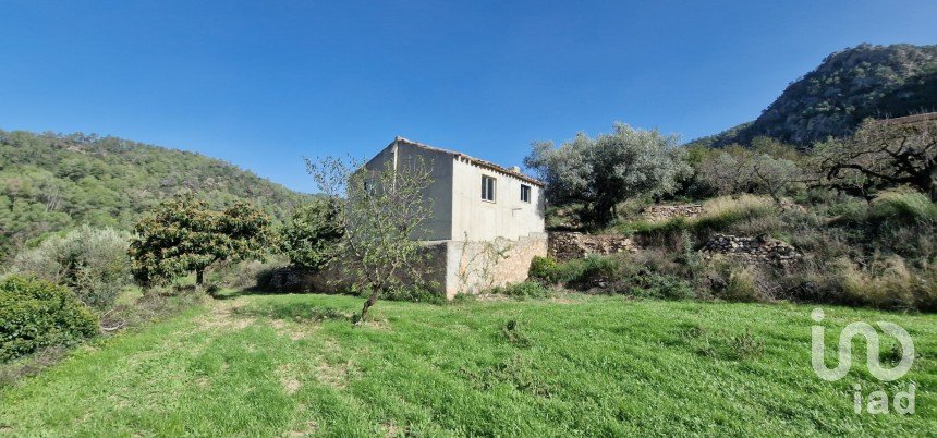 Terreno de 38.548 m² en Rasquera (43513)