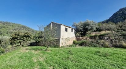 Land of 38,548 m² in Rasquera (43513)
