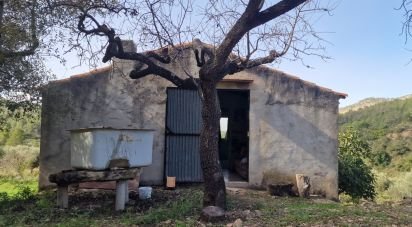 Land of 38,548 m² in Rasquera (43513)