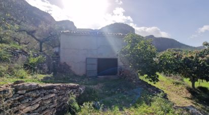 Land of 38,548 m² in Rasquera (43513)
