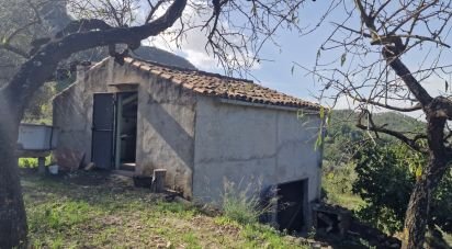 Land of 38,548 m² in Rasquera (43513)