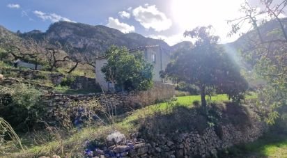 Land of 38,548 m² in Rasquera (43513)