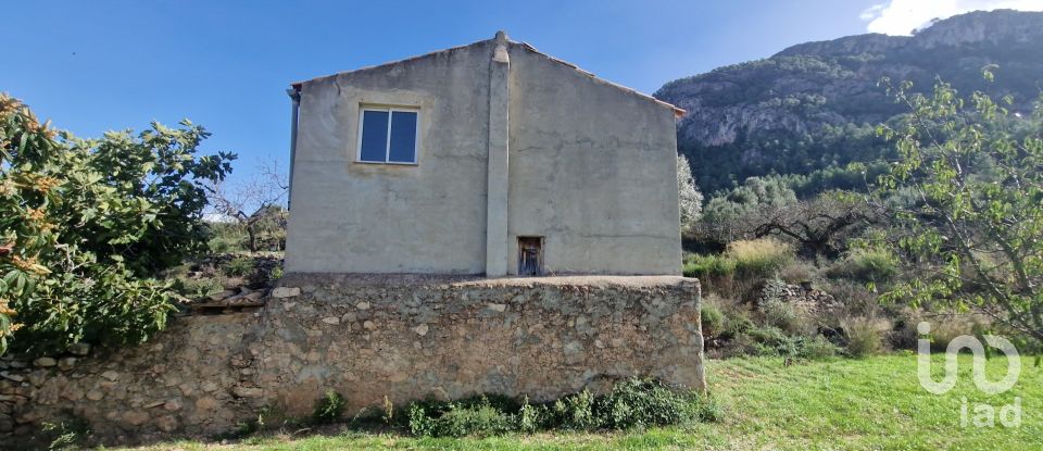 Terreno de 38.548 m² en Rasquera (43513)