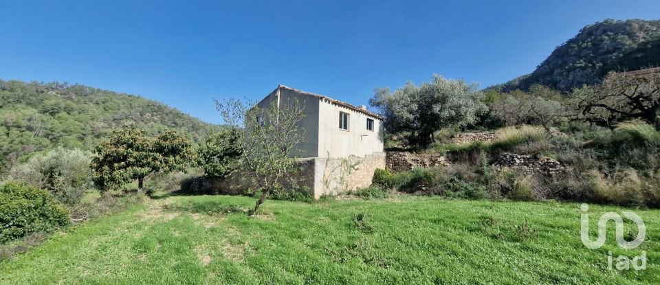 Terreno de 38.548 m² en Rasquera (43513)