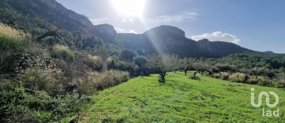 Terreno de 38.548 m² en Rasquera (43513)