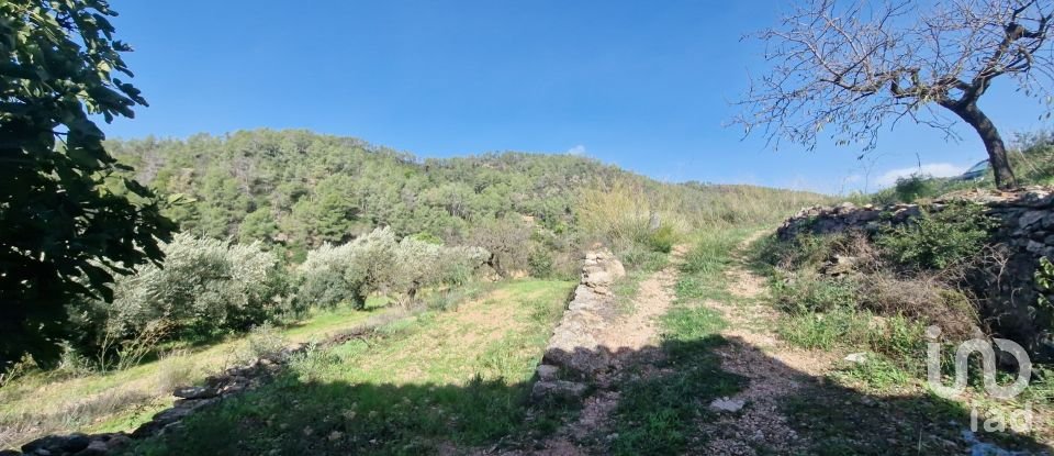 Terreno de 38.548 m² en Rasquera (43513)