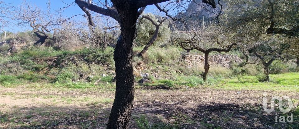 Terreno de 38.548 m² en Rasquera (43513)